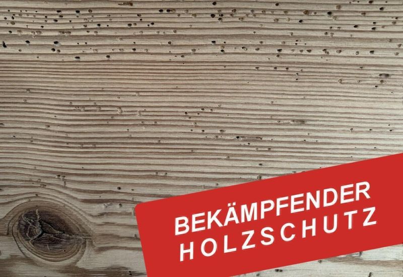 Holzwurmfrei, wasserverdünnbares, bekämpfendes Holzschutzmittel