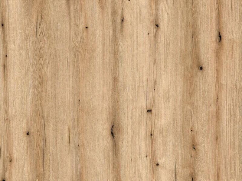 Wand-Design-Platte K365 Coast Evoke Oak, FN flanders oak, nassraumgeeignet